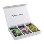 Pokémon Garden Friends Socks Gift Box (3 Pairs) (One Size-Adult) - Image 2