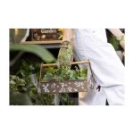 Pokémon Gardening Metal Caddy - Image 7