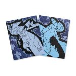 Dragon Type Pokémon Fundamentals Folders (2-Pack)