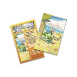 Pokémon TCG: Paldea Friends Mini Tin (Sprigatito) - Image 3