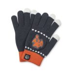 Charizard Chill Touch Screen Gloves (One Size-Adult)