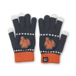 Charizard Chill Touch Screen Gloves (One Size-Adult) - Image 2